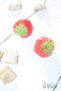 Erdbeer-Smoothie by dinchensworld.de